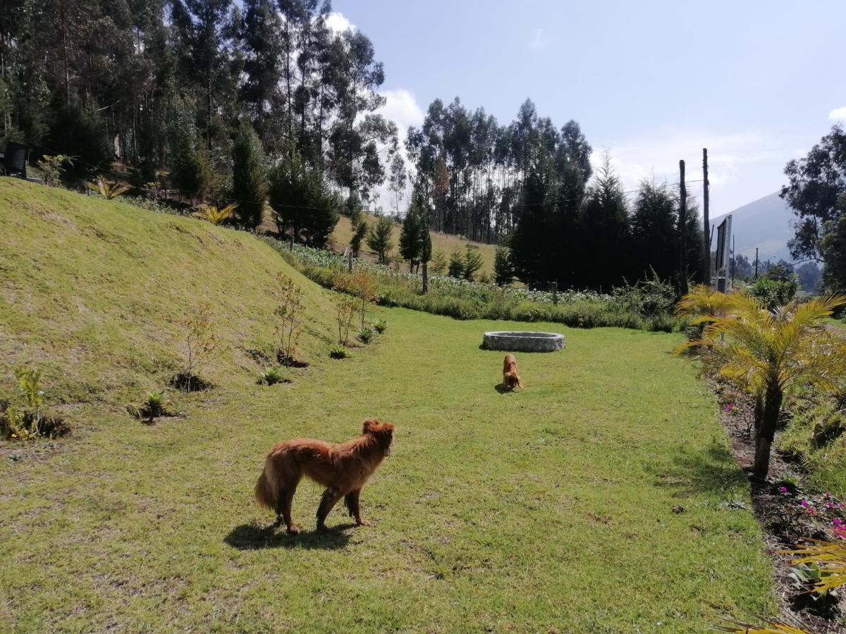 Samay Toa Hotel Otavalo Exterior foto